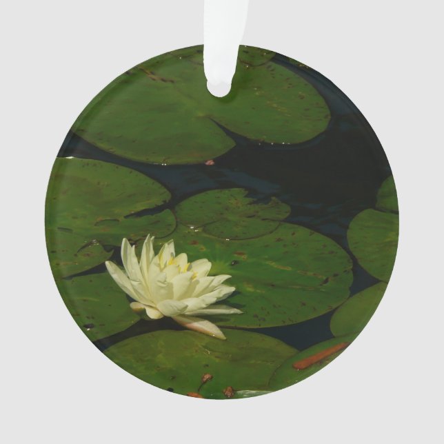 Ornamento White Waterlily I Peaceful Floral Fotografia (Frente)