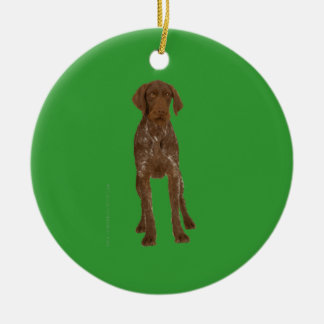 Ornamento Wirehaired alemão do ponteiro