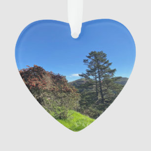 Ornamento X.ITINERÁRIOS: Picos do SF