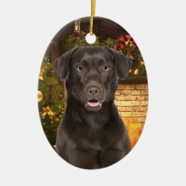 Ornamento Xmas do Chocolate Lab (Frente)