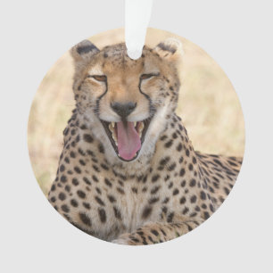 Ornamento Yawning Cheetah