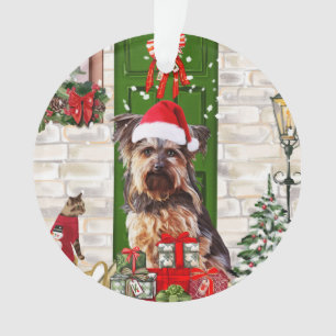 Ornamento Yorkie Dog Natal