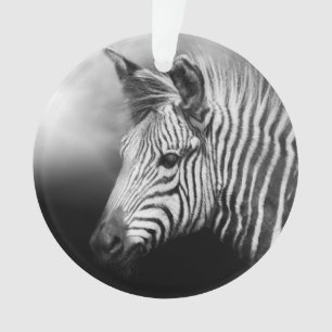 Ornamento Zebra Foal