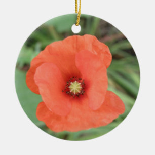 Ornamentos de Flor Selvagem