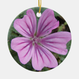 Ornamentos de flor selvagem