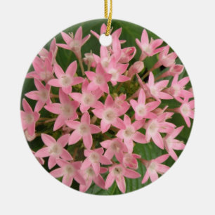 Ornamentos de Flores Tropicais bonito, Rosa