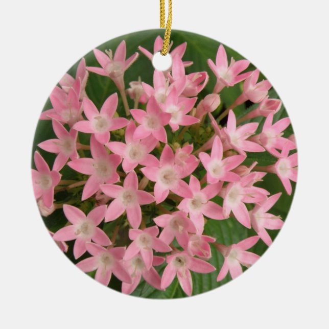 Ornamentos de Flores Tropicais bonito, Rosa (Frente)