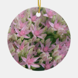 Ornamentos de Flores Tropicais bonito, Rosa