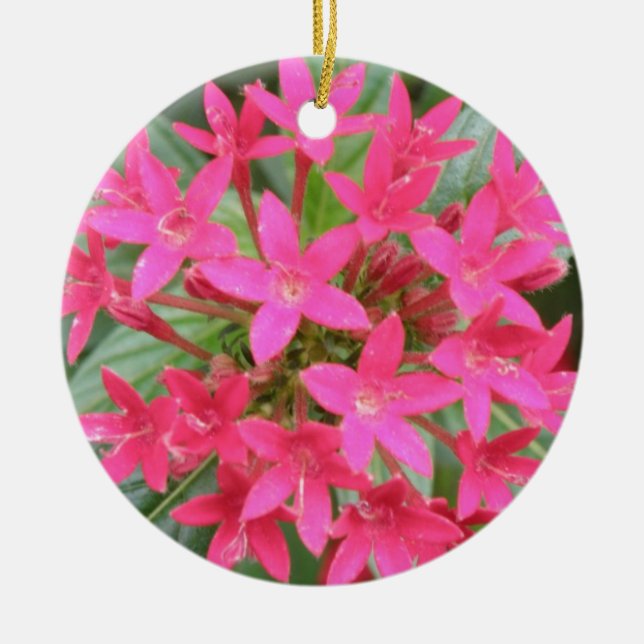 Ornamentos de Flores Tropicais, Rosa-Brilhante (Frente)