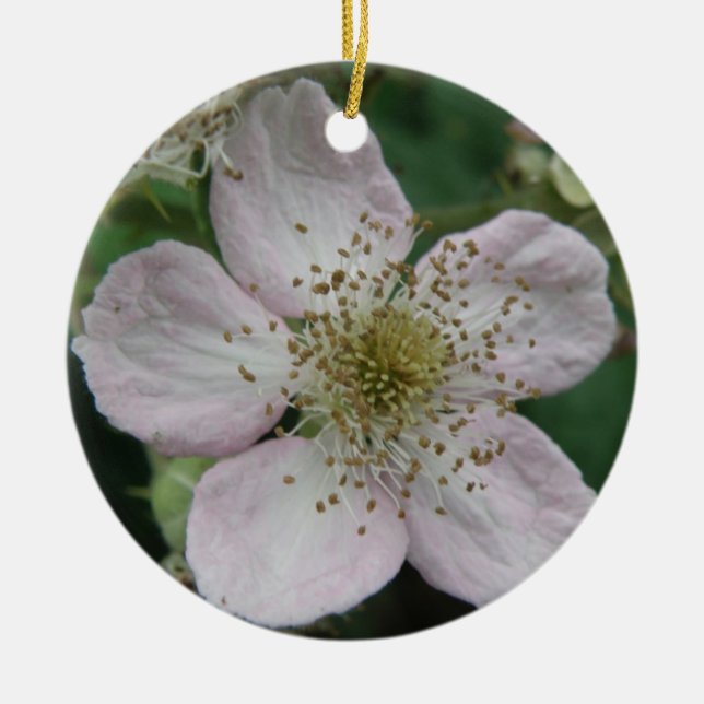 Ornamentos para Macros da Flor de Blackberry (Frente)