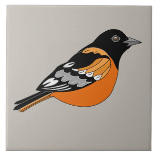 Orole Black and Orange Bird Graphic