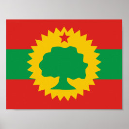 Oromo Flag Poster