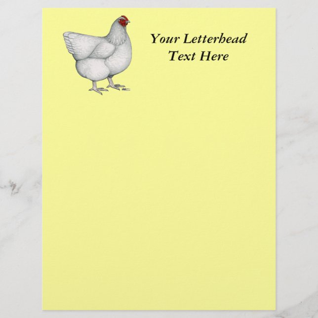 Orpington White Hen (Frente)