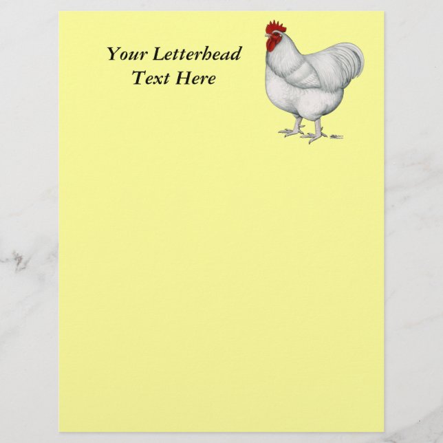 Orpington White Rooster (Frente)