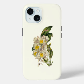 Orquídea