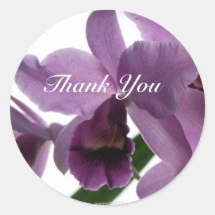 Orquídea 1 Obrigado-você etiquetas