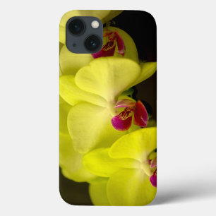 Orquídea Amarela - Caso iPad