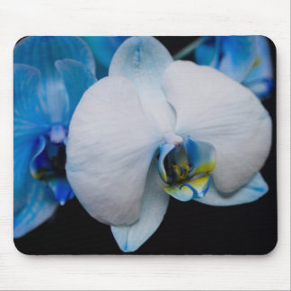 Orquídea azul Mousepad