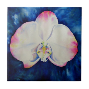 Orquídea Bege Rosa