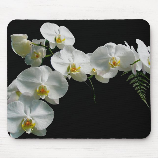 Orquídea branca Mousepad (Frente)