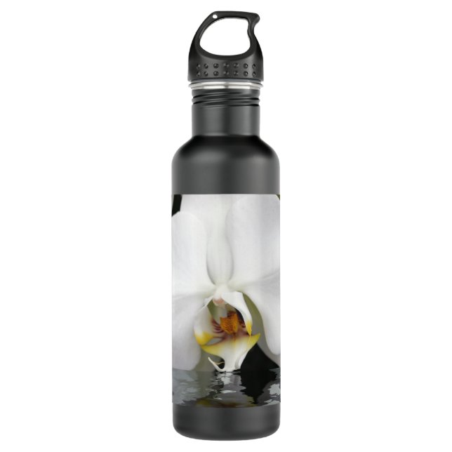 Orquídea Branca na Garrafa de Água da Piscina (Frente)