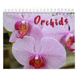 Orquídea calendário de 12 meses