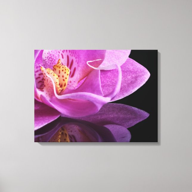 Orquídea canvas (Frente)