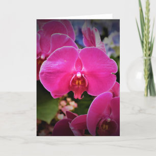 Orquídea, cartão