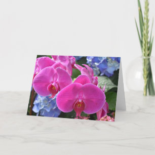 Orquídea, cartão