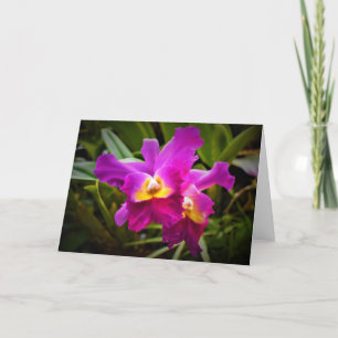 Orquídea, cartão