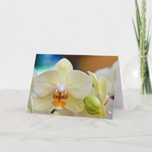 Orquídea • Cartão