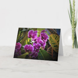 Orquídea, cartão