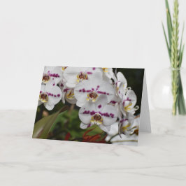 Orquídea, cartão