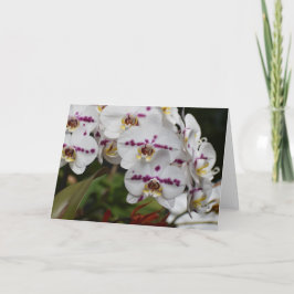 Orquídea, cartão