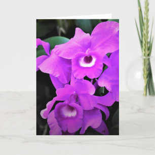 Orquídea, cartão