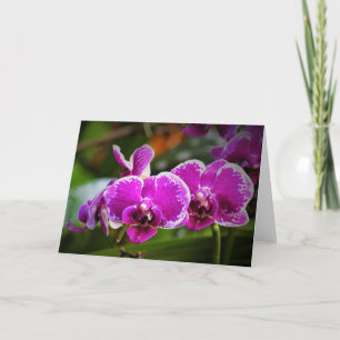 Orquídea, cartão