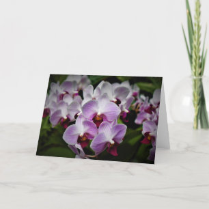 Orquídea, cartão
