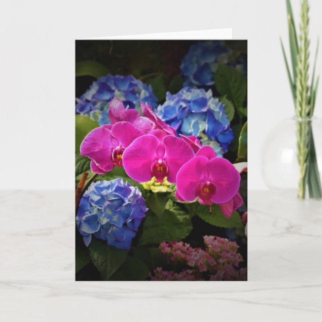 Orquídea, cartão (Frente)