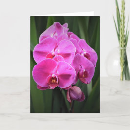 Orquídea, cartão