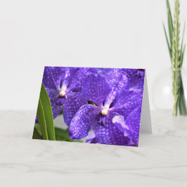 Orquídea, cartão