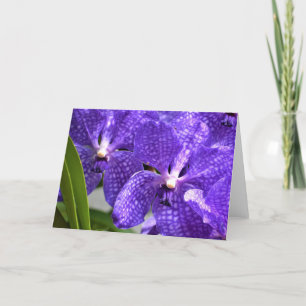 Orquídea, cartão