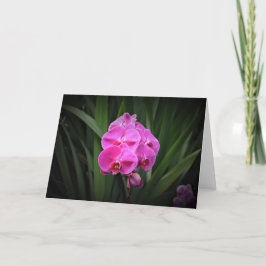 Orquídea, cartão