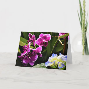 Orquídea, cartão