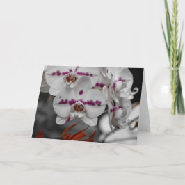 Orquídea, cartão