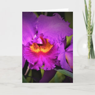 Orquídea, cartão