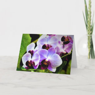 Orquídea, cartão