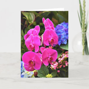 Orquídea, cartão
