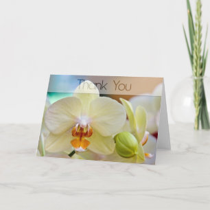 Orquídea • Cartões de agradecimentos