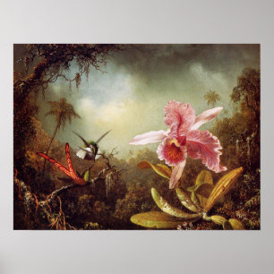 Orquídea com o poster de dois colibris