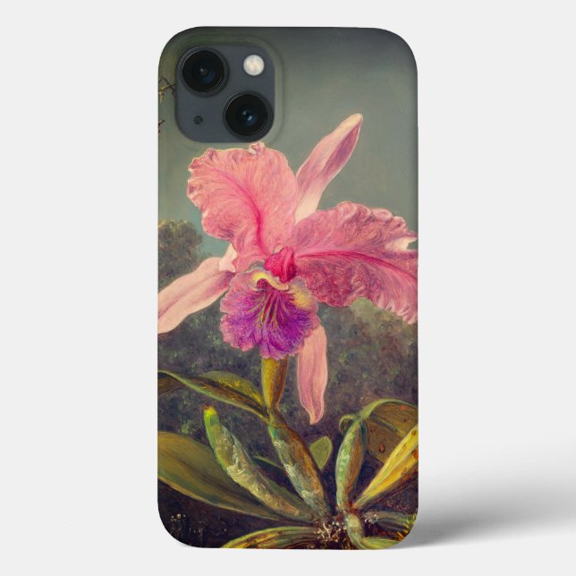 Orquídea de Cattleya e três beija-flores (Verso)